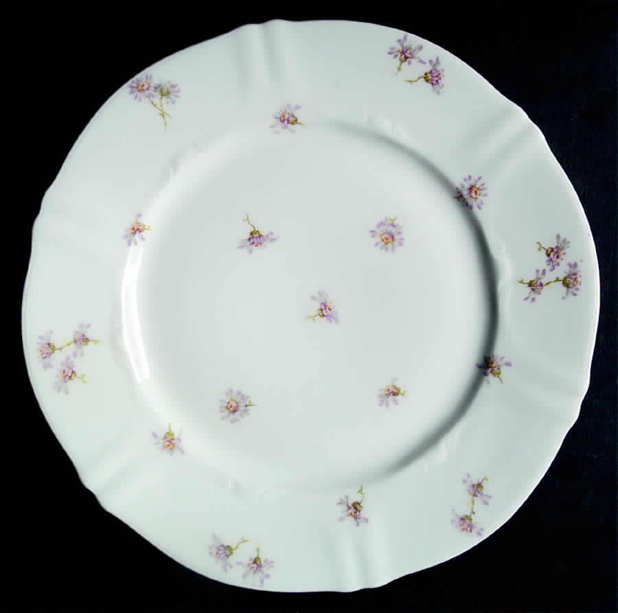 Schleiger 316-3 Dinner Plate by Haviland-1