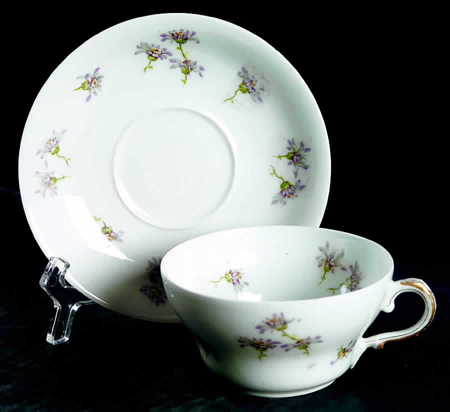 Schleiger 316-4 Flat Cup & Saucer Set by Haviland-1