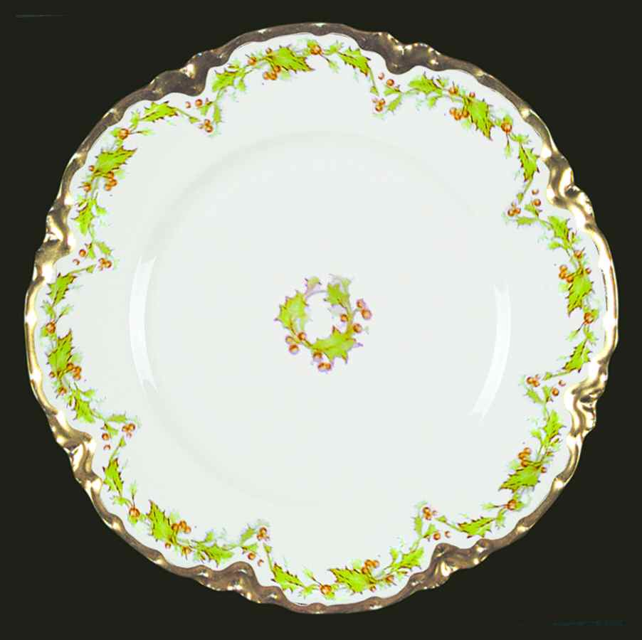 H2920 Dinner Plate by Haviland-1