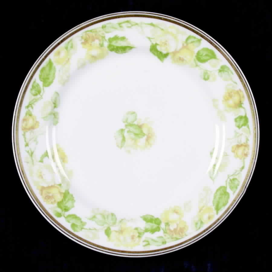 H2921 Salad Plate by Haviland-1