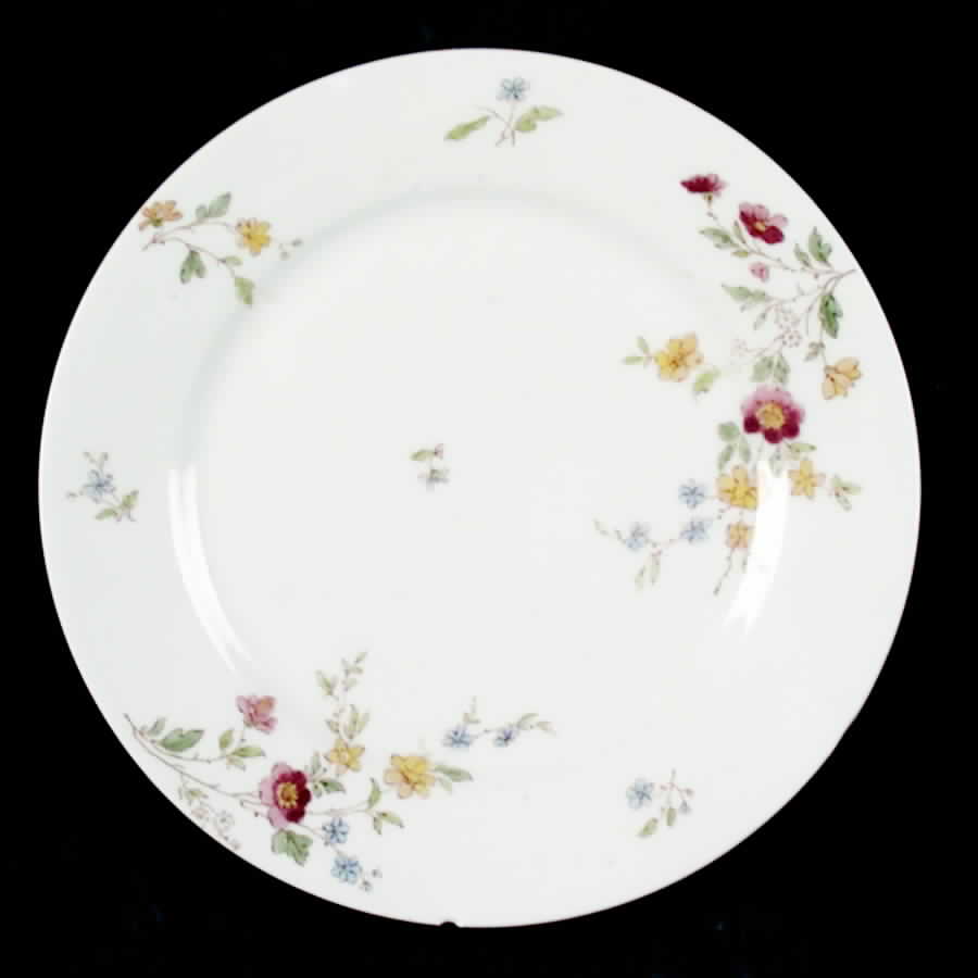 H2922 Salad Plate by Haviland-1