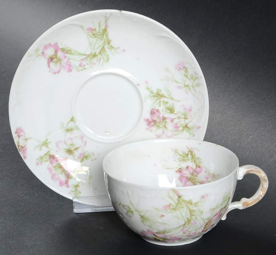 H2925 Flat Cup & Saucer Set by Haviland-1