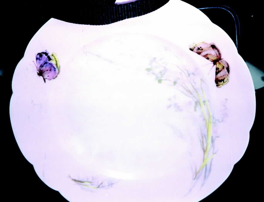 H2928 Salad Plate by Haviland-1