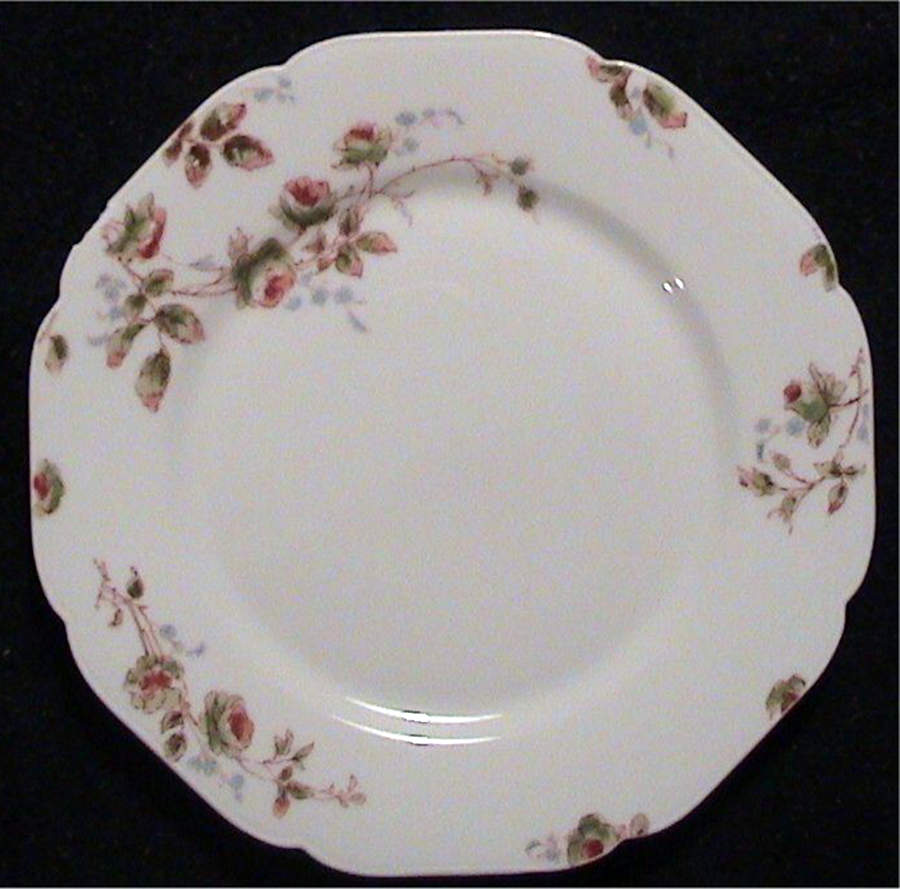 H2930 Dinner Plate by Haviland-1