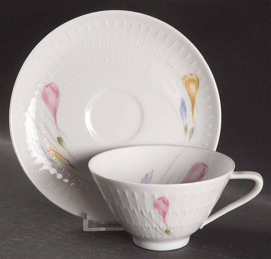 HUT1380 Footed Cup & Saucer Set by Hutschenreuther-1