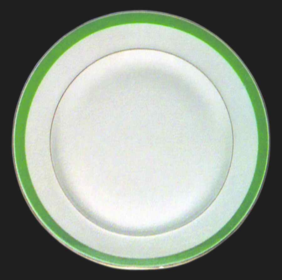 H2940 Dinner Plate by Haviland-1
