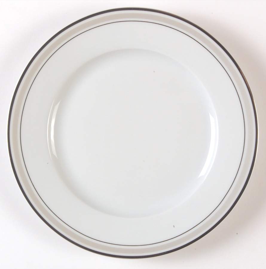 Alize Platinum Salad Plate by Haviland-1