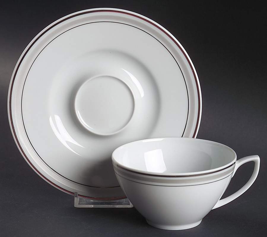 Alize Platinum Flat Cup & Saucer Set by Haviland-1