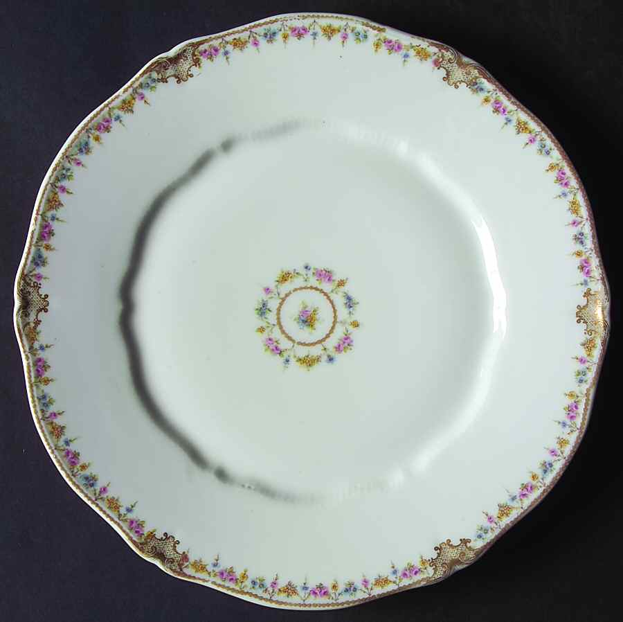 Schleiger 630-2 Dinner Plate by Haviland-1