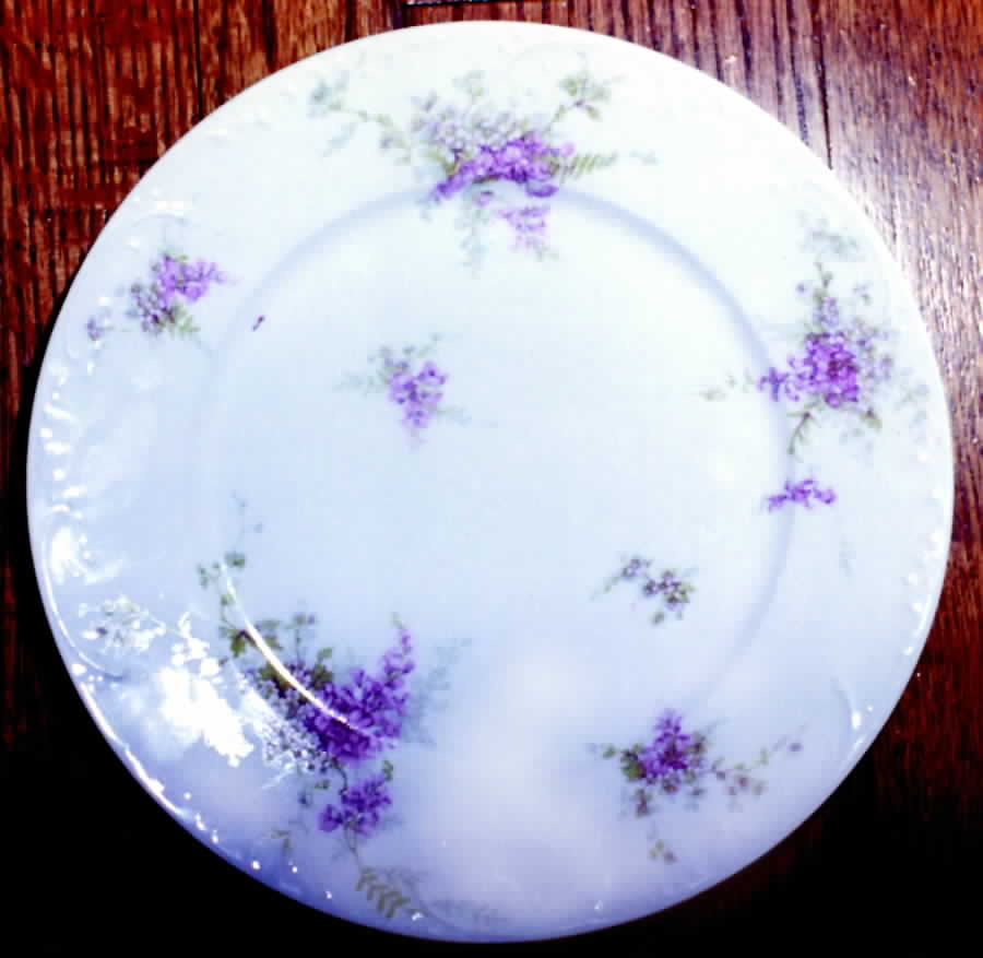 Schleiger 332-2 Dinner Plate by Haviland-1