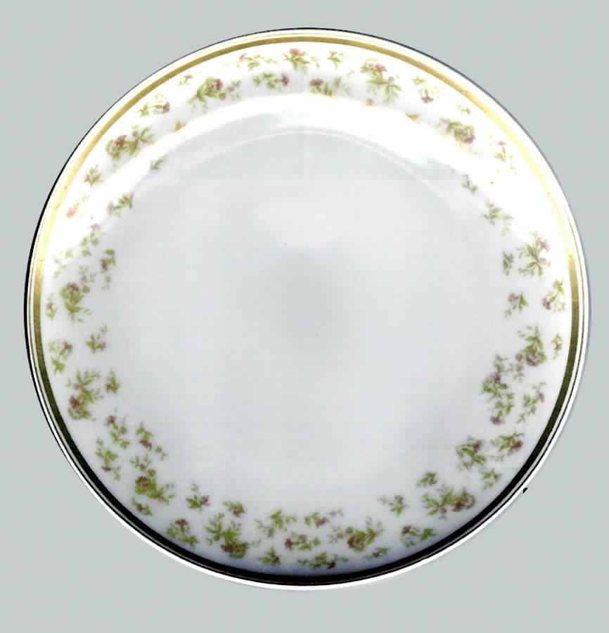 H2953 Luncheon Plate by Haviland-1