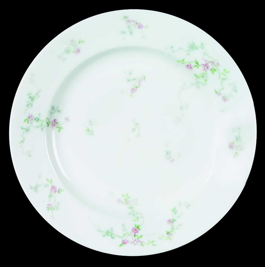 H2954 Dinner Plate by Haviland-1