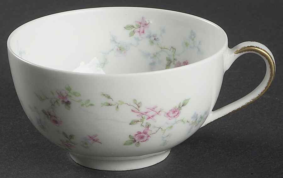 H2954 Flat Cup by Haviland-1