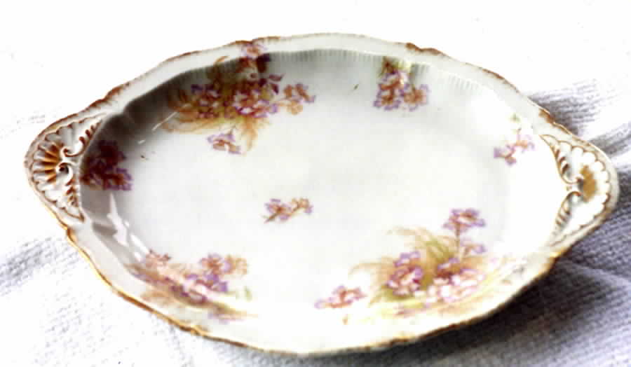 H2961 13" Oval Serving Platter by Haviland-1