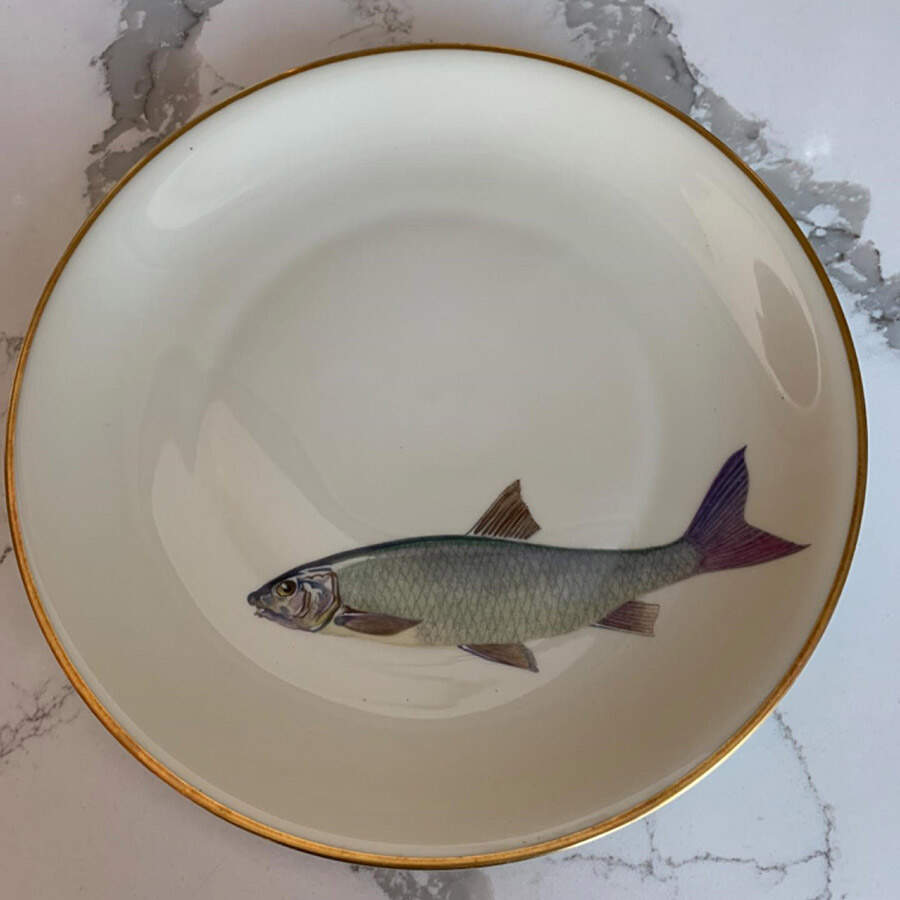HC865 Dinner Plate by Heinrich - H&C-1