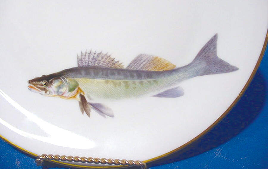 HC865 Dinner Plate by Heinrich - H&C-1