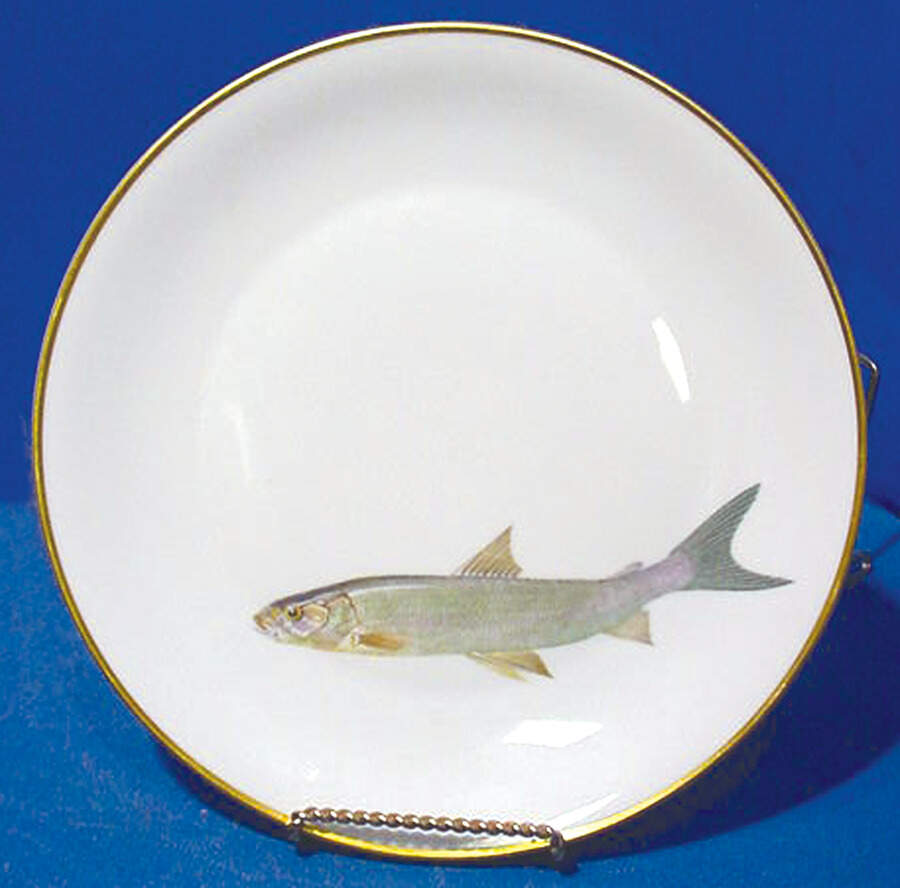 HC865 Dinner Plate by Heinrich - H&C-1