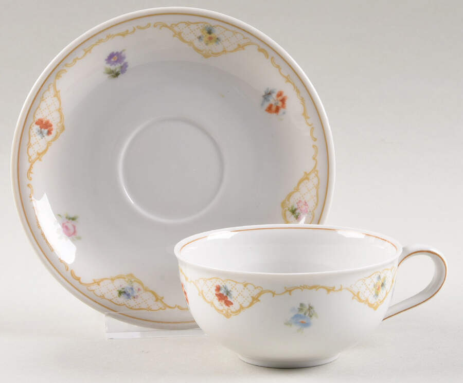 7470 (Cream Background) Flat Cup & Saucer Set by Hutschenreuther-1