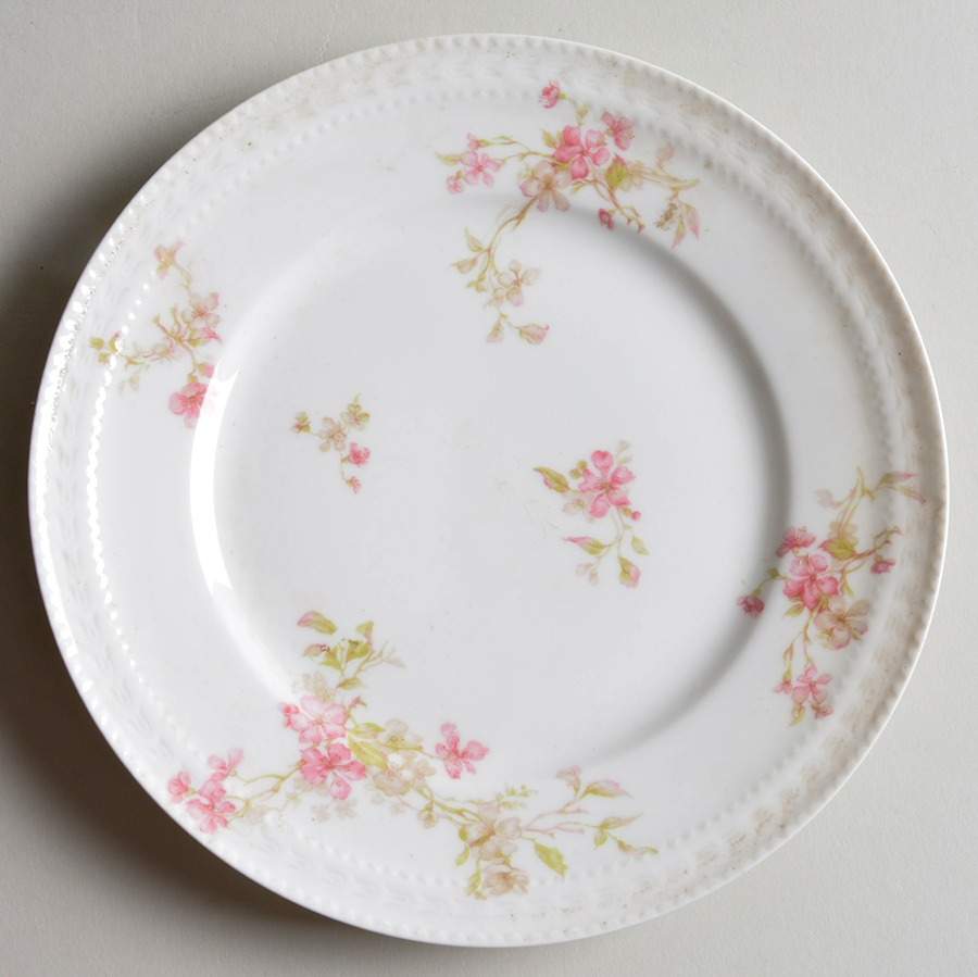 H2978 Salad Plate by Haviland-1