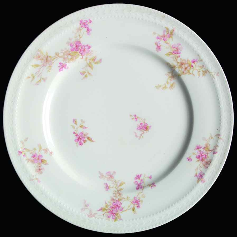 H2978 Dinner Plate by Haviland-1
