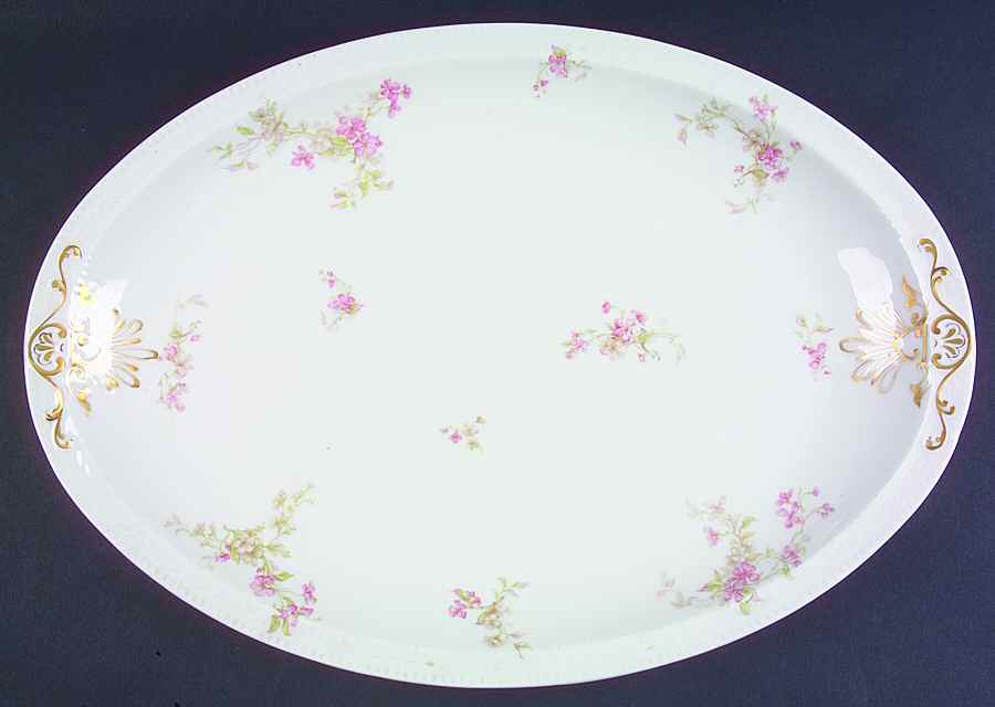 H2978 16" Oval Serving Platter by Haviland-1