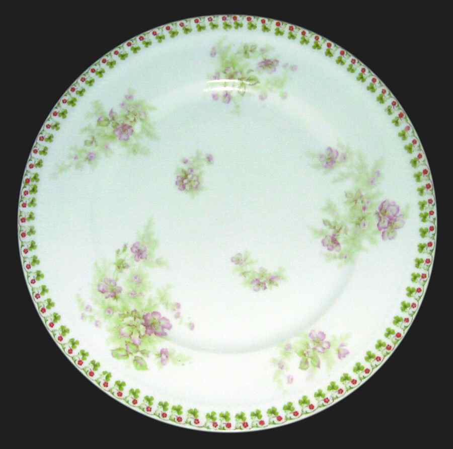 Schleiger 113-2 Dinner Plate by Haviland-1