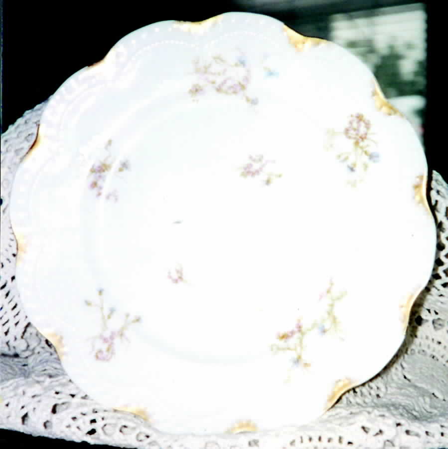 Schleiger 463-1 Dinner Plate by Haviland-1