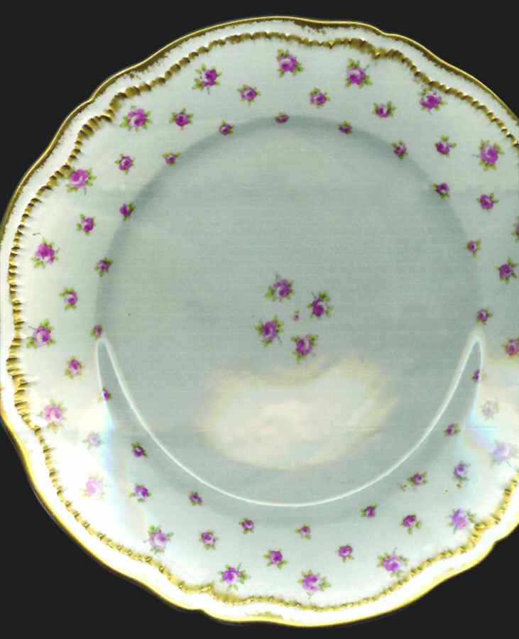 H2985 Dinner Plate by Haviland-1