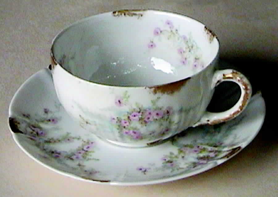 Schleiger 342-7 Flat Cup & Saucer Set by Haviland-1