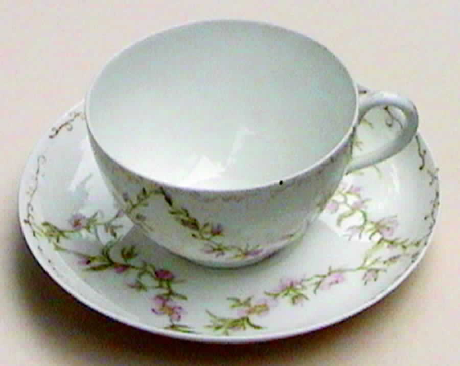 H2993 Flat Cup & Saucer Set by Haviland-1