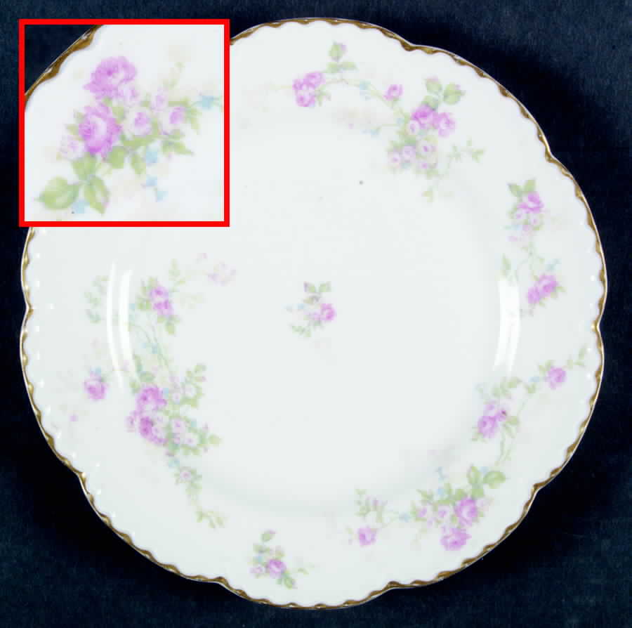 Schleiger 899-1 Salad Plate by Haviland-1