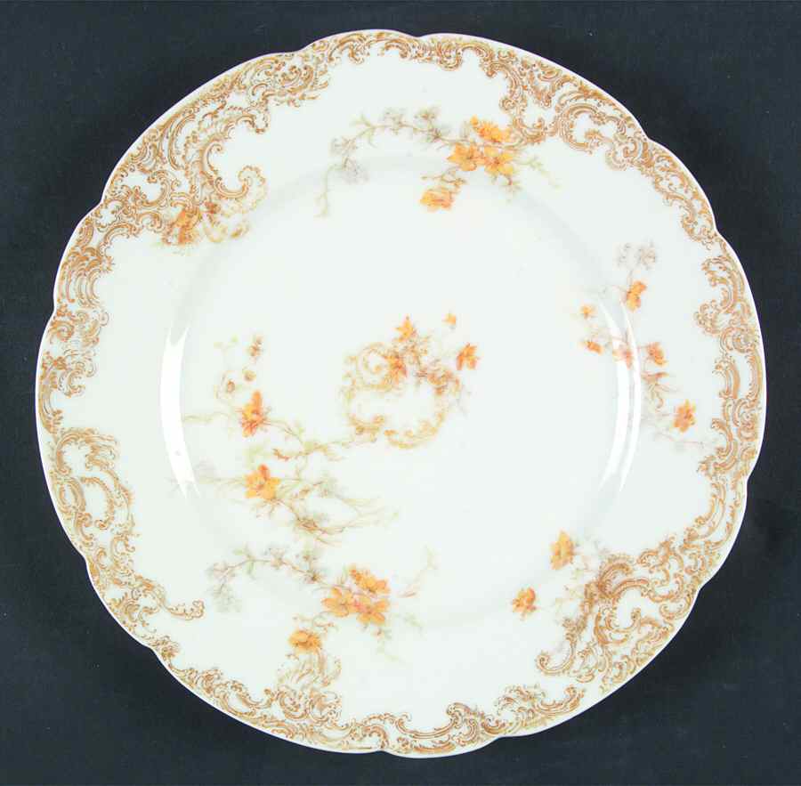 H2998 Dinner Plate by Haviland-1