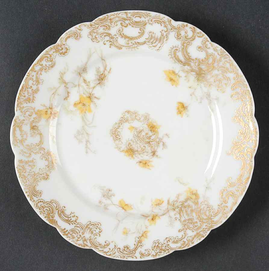 H2998 Bread & Butter Plate by Haviland-1