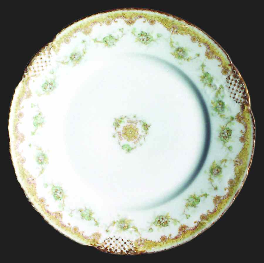 H3000 Dinner Plate by Haviland-1