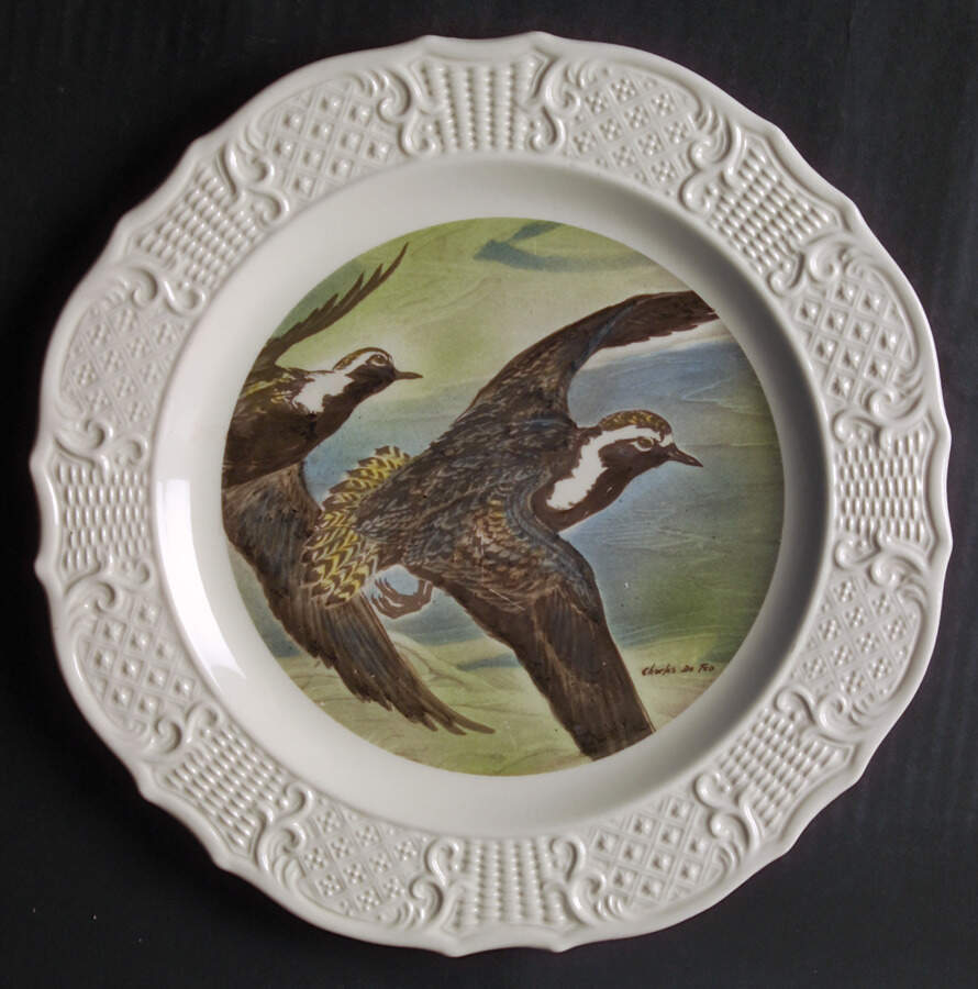 Wild Bird Series Dinner Plate by House of Seagram-1