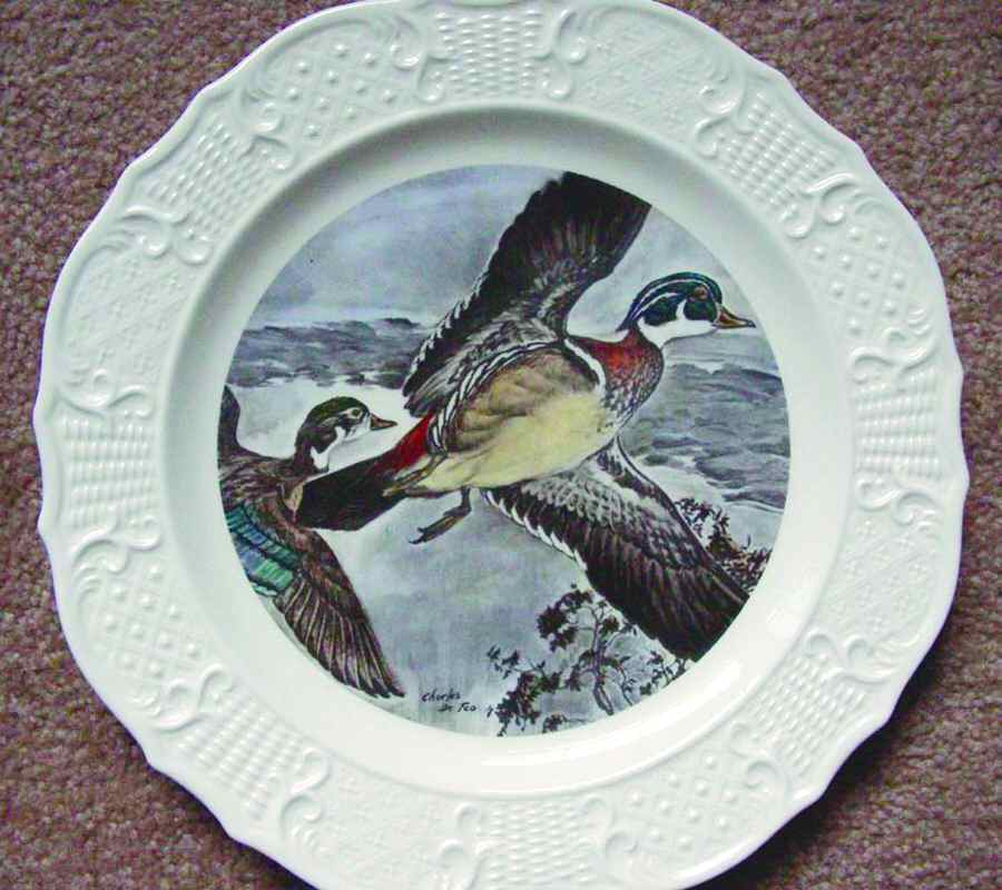 Wild Bird Series Dinner Plate by House of Seagram-1