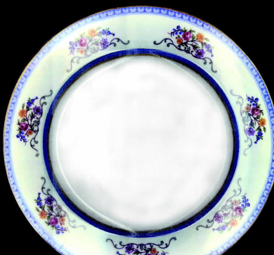 H3010 Dinner Plate by Haviland-1