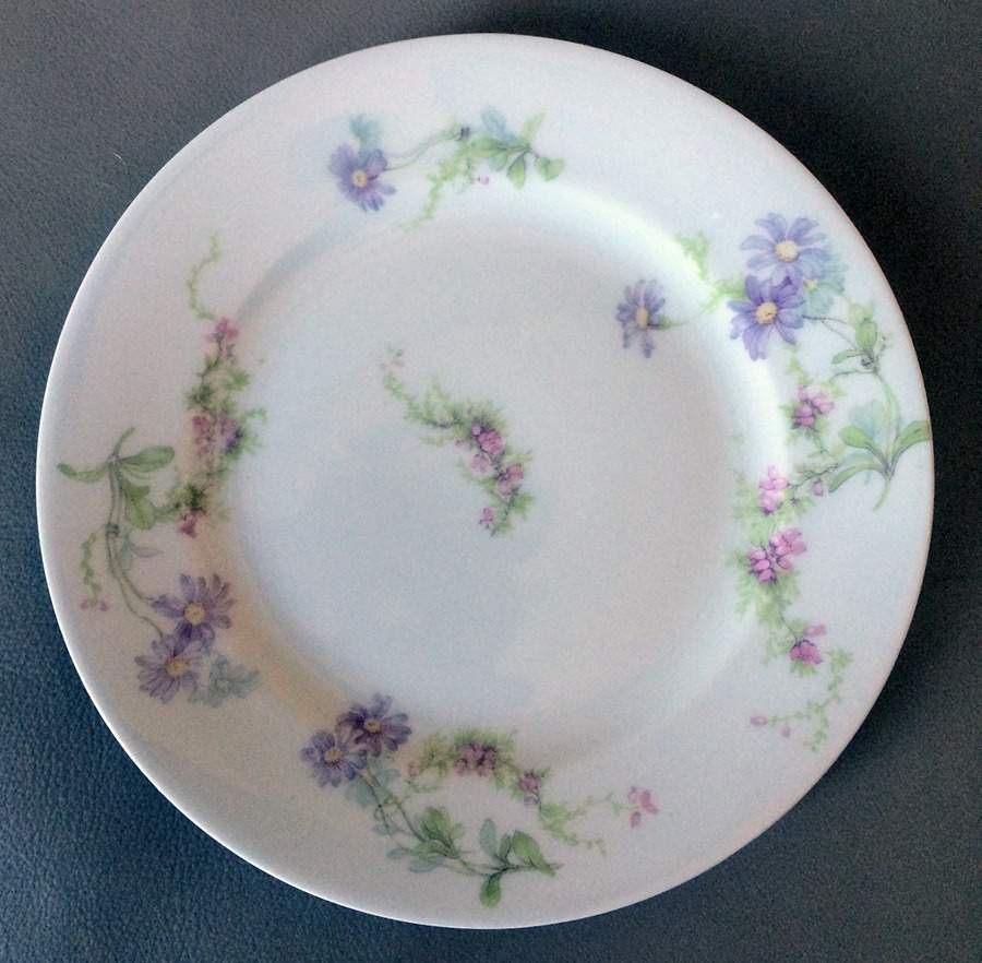 Schleiger 1041-2 Salad Plate by Haviland-1