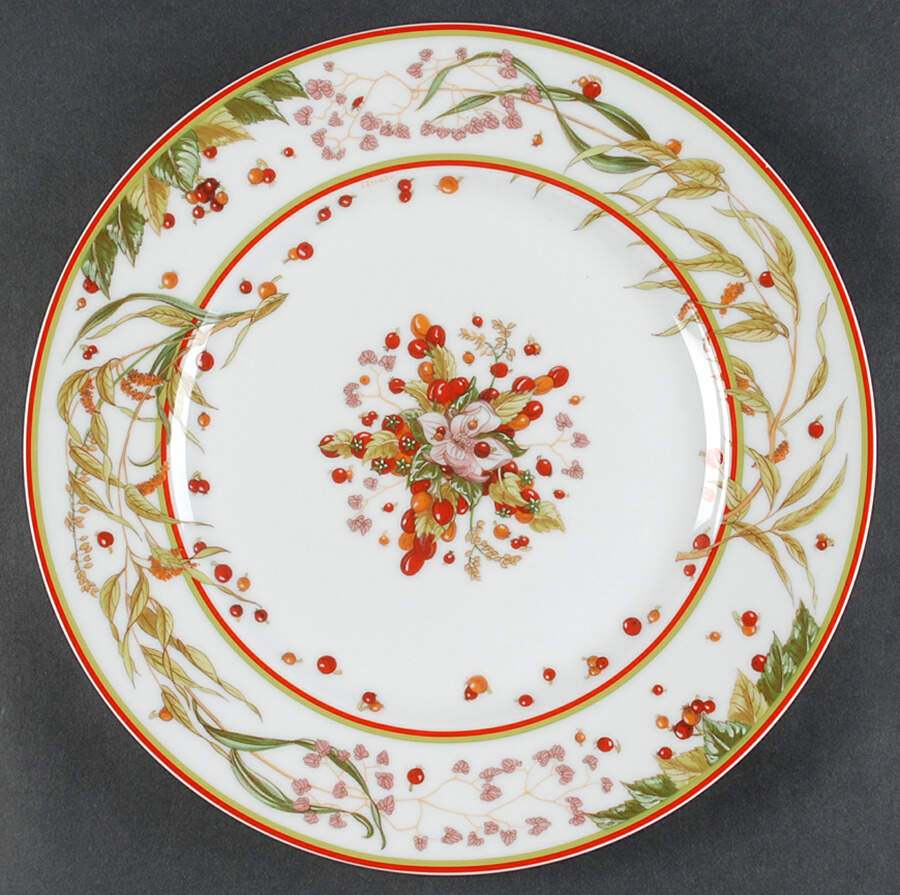 Le Jardin de Pythagore Dinner Plate by Hermes-1