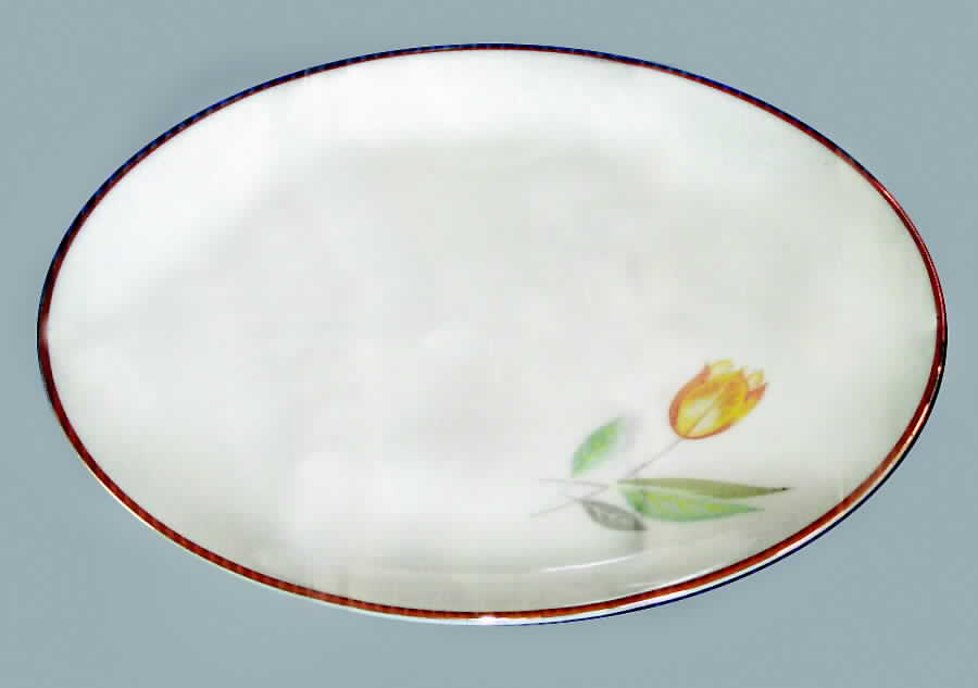 HUT1405 Dinner Plate by Hutschenreuther-1