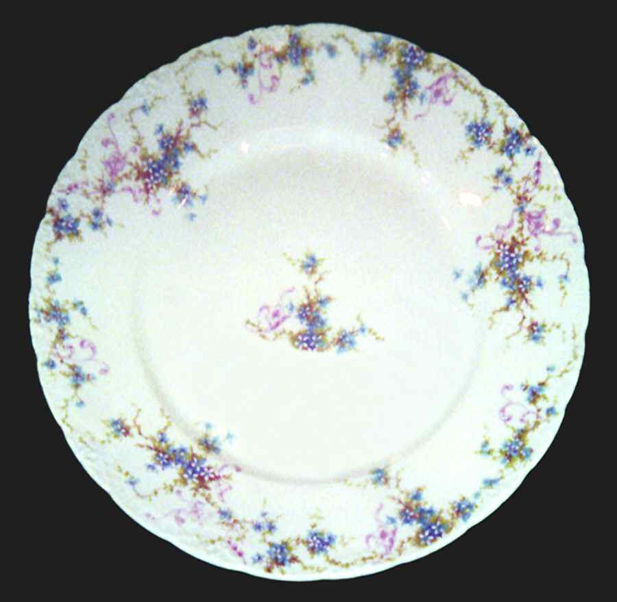 H3018 Dinner Plate by Haviland-1