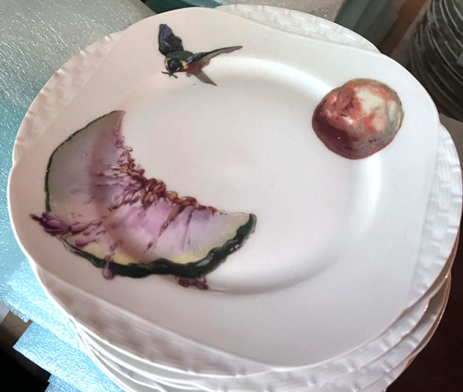H3019 Dinner Plate by Haviland-1