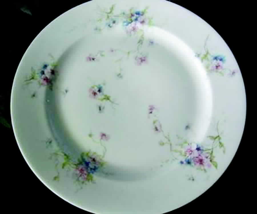 Schleiger 156-6 Dinner Plate by Haviland-1