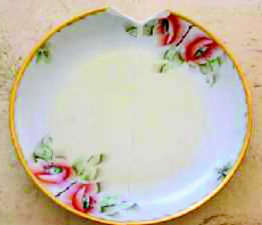 HUT1091 Salad Plate by Hutschenreuther-1