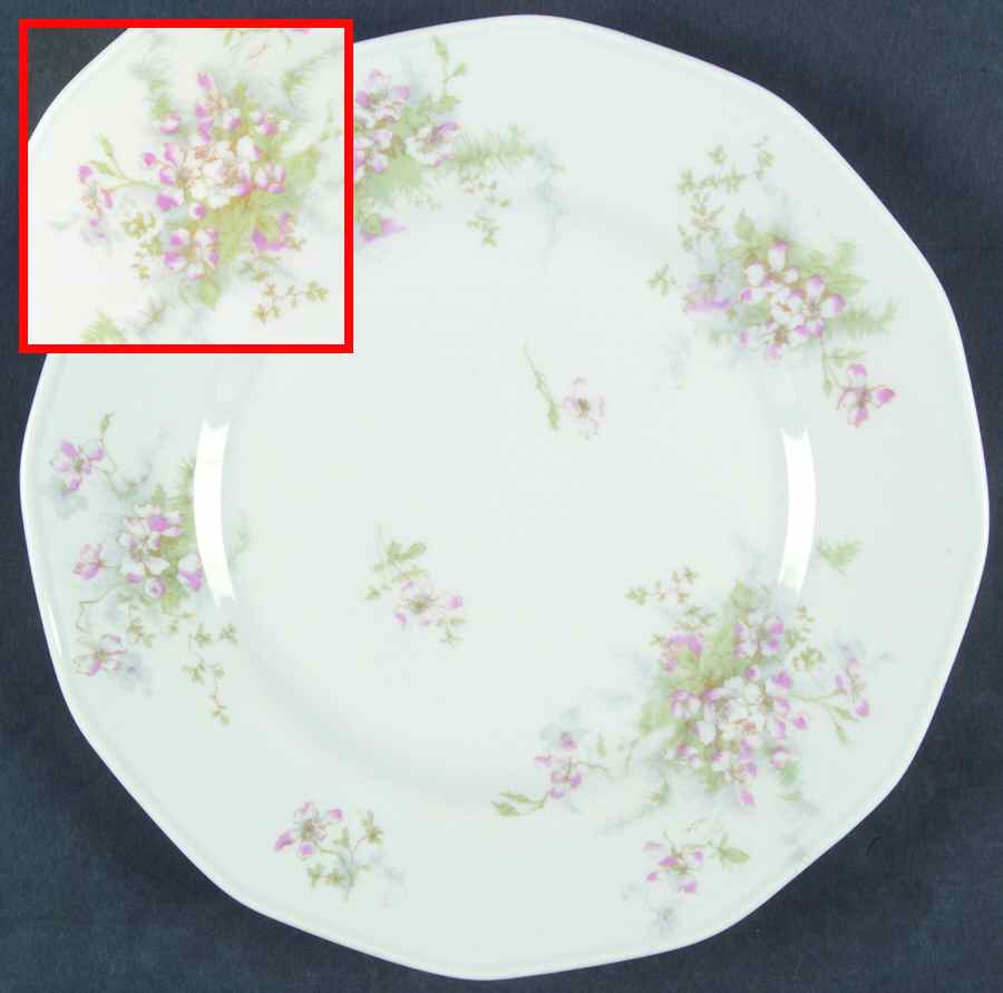 Schleiger 146-6 Dinner Plate by Haviland-1