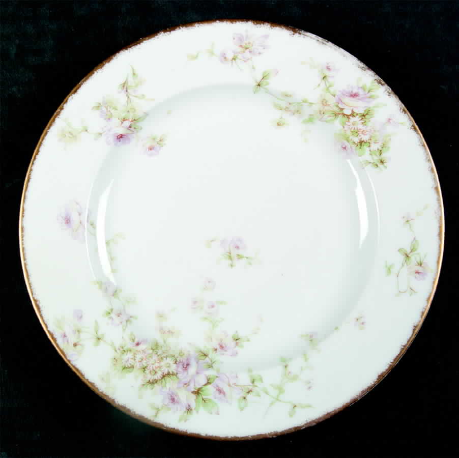 Schleiger 840-6 Salad Plate by Haviland-1