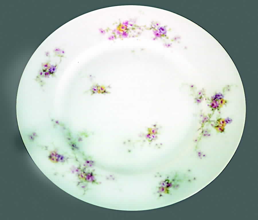 Schleiger 837-11 Dinner Plate by Haviland-1