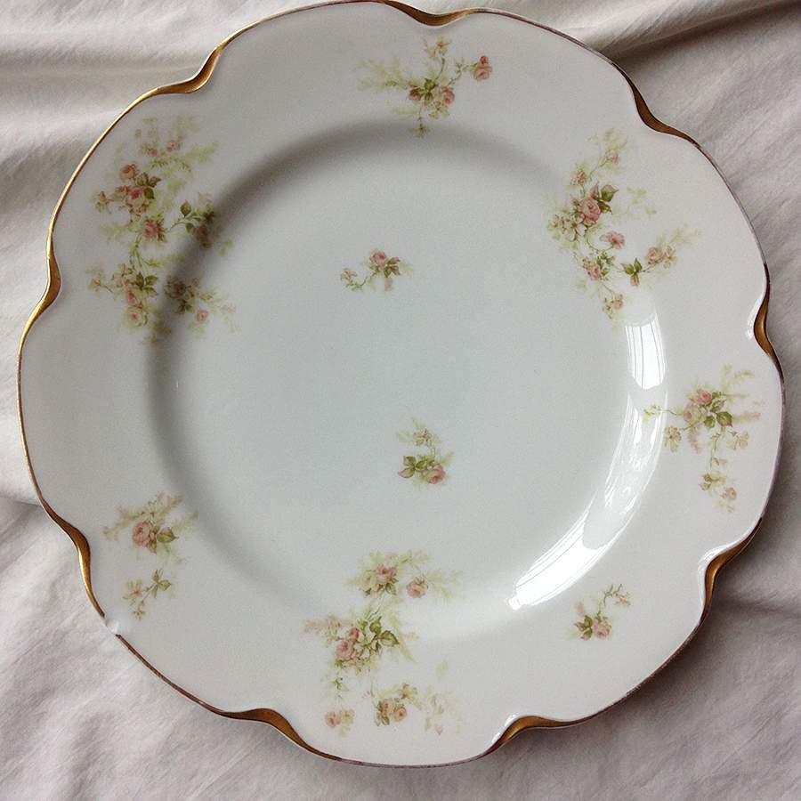 H3042 Dinner Plate by Haviland-1