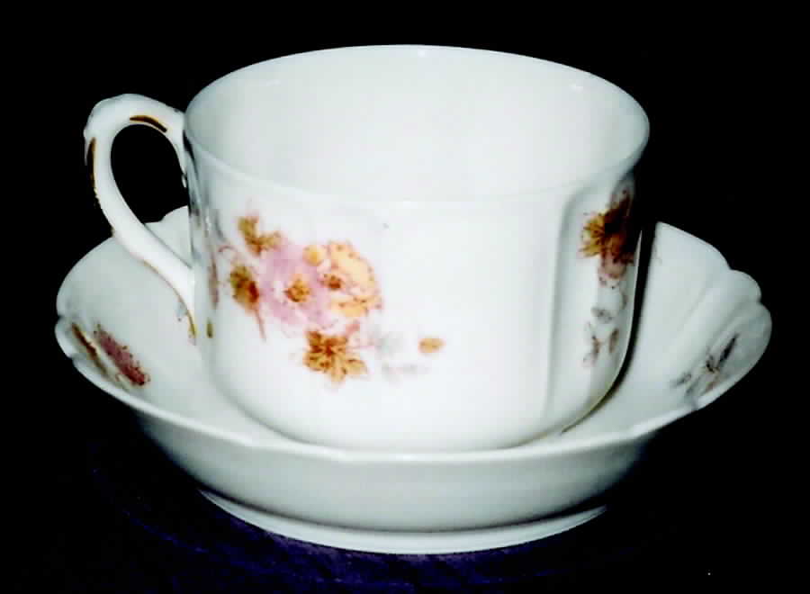 H3043 Flat Cup & Saucer Set by Haviland-1