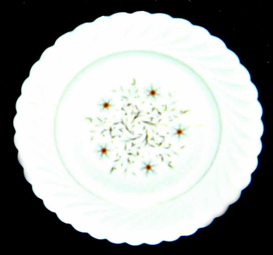 H3046 Luncheon Plate by Haviland-1